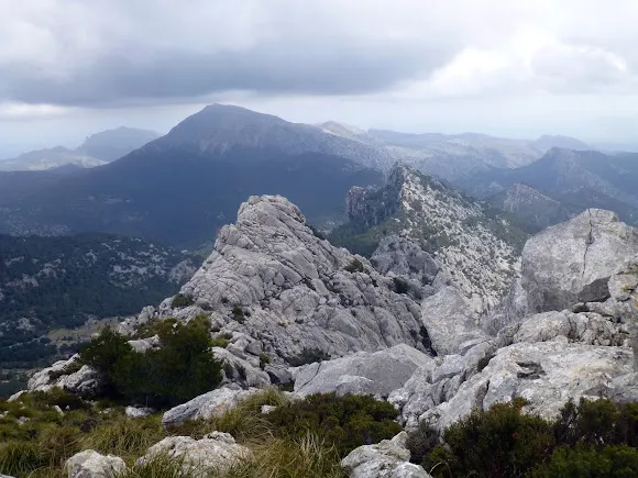 Puig de N'Alí - Selva
