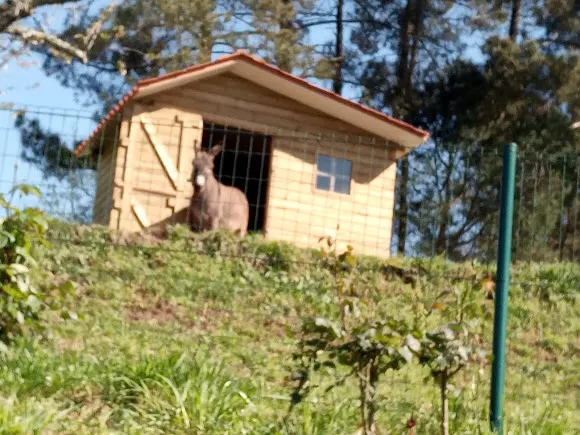 Parque Infantil de Bamonde - Vedra