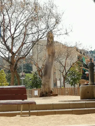 Plaça del Pi Tallat