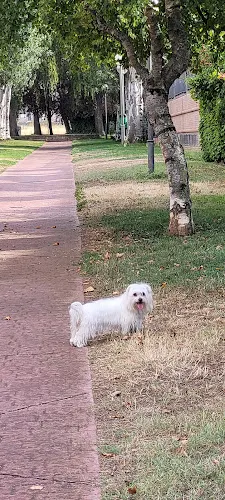 Parque Infantil - Logroño