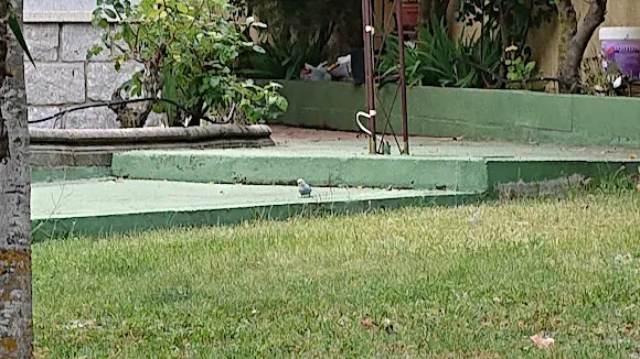 Parque Infantil La Recorva