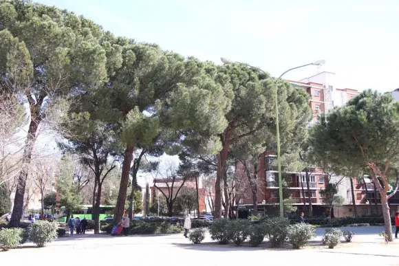 PARQUE DE LOS PINOS Parque Infantil- Paseo de los Pinos