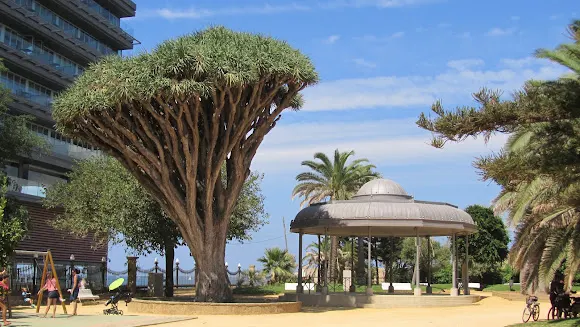 Parque infantil - Cádiz