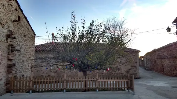 El Árbol de Los Deseos-MOME - Ausejo de la Sierra