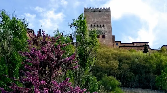 Parque Infantil Gines De Los Rios - Maracena